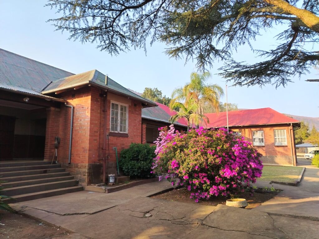 Oosterlijn Primary School Image 1